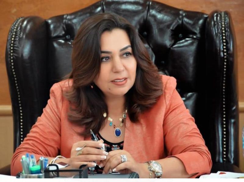 محافظ دمياط