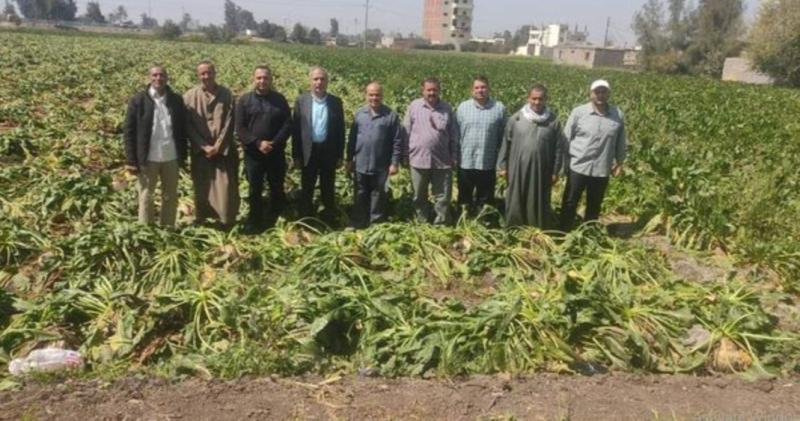 يوم حقلى