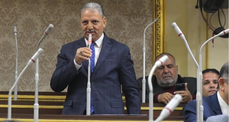 النائب إبراهيم المصرى