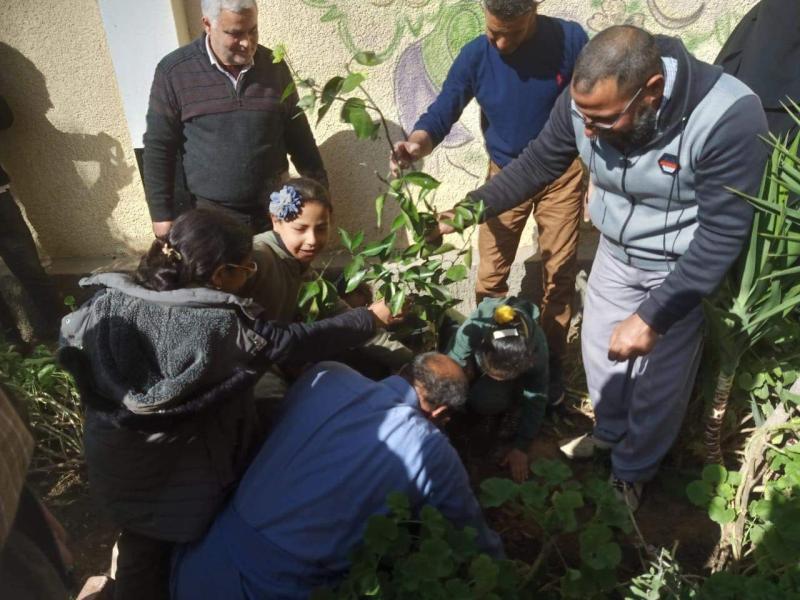 زراعة اشجار 