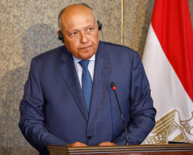 سامح شكري