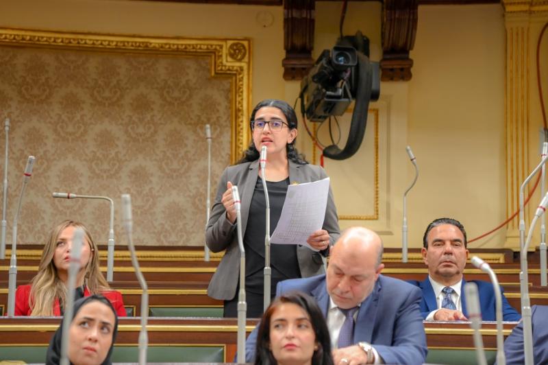 النائبة روان لاشين 