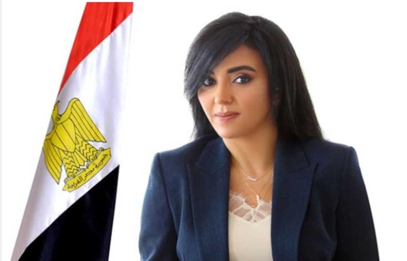 النائبة ريهام عفيفي