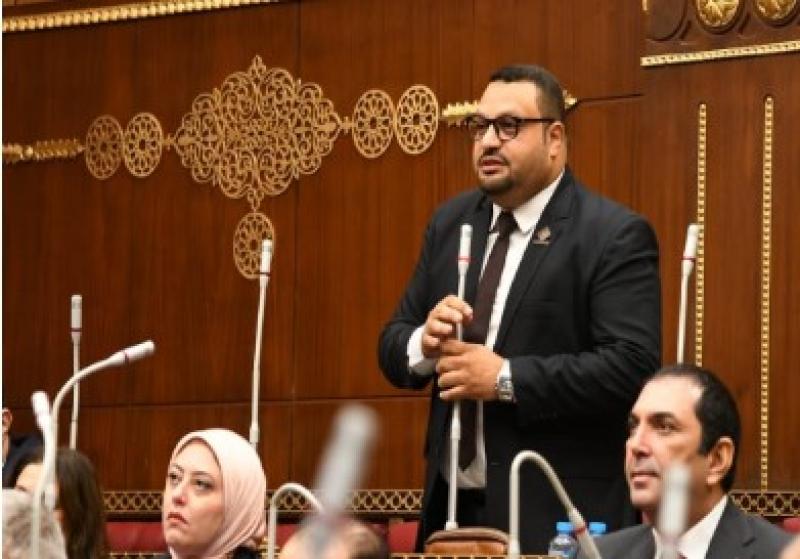النائب أحمد قناوى