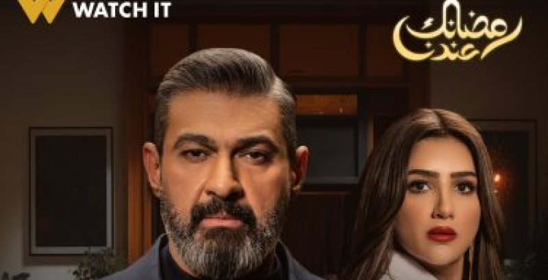 مسلسل علاقة مشروعة
