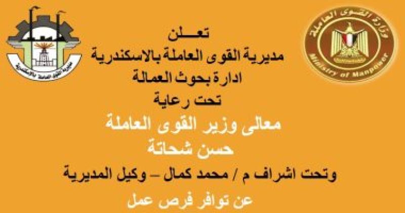 القوي العاملة 