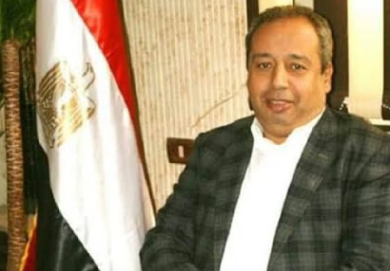 اللواء وليد عبد الحميد