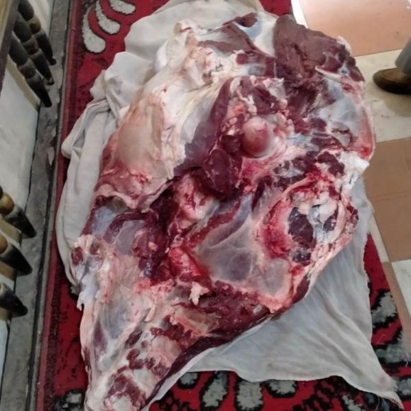 مضبوطات تموينيه