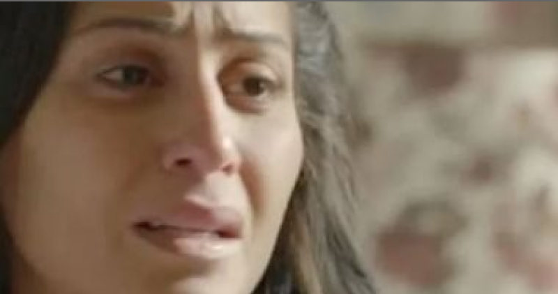 الفنانة دينا الشربيني
