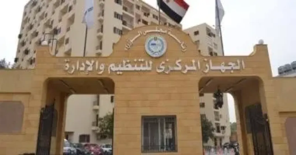التنظيم والادارة