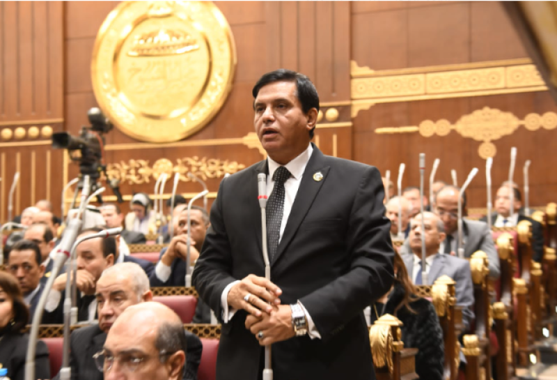 النائب اللواء طارق نصير امين عام حزب حماة الوطن