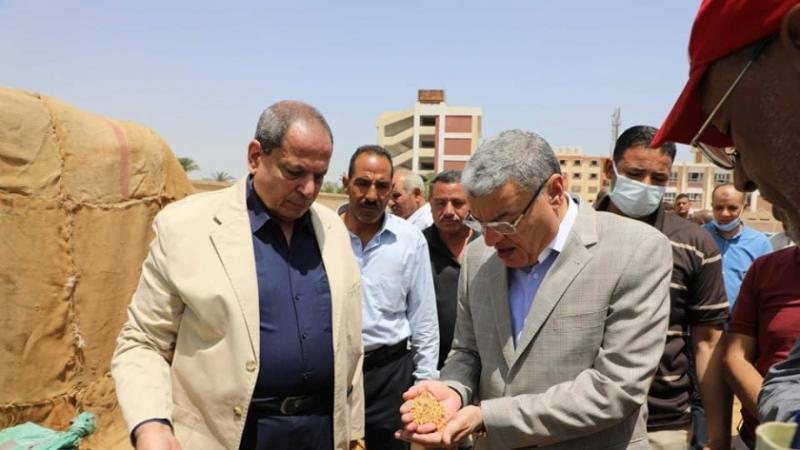 توريد 53 طن قمح لشون وصوامع المنيا خلال يومين