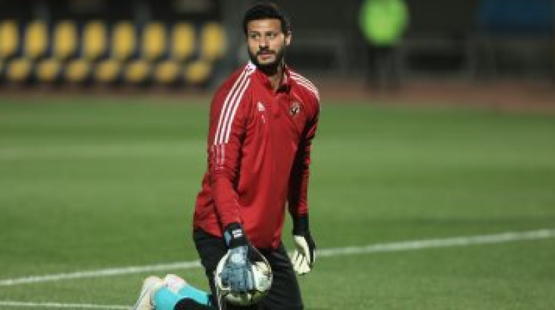 محمد الشناوى 