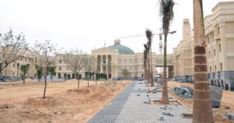 جامعة القاهرة الدولية 
