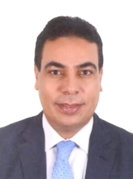 عادل عبد الغفار 