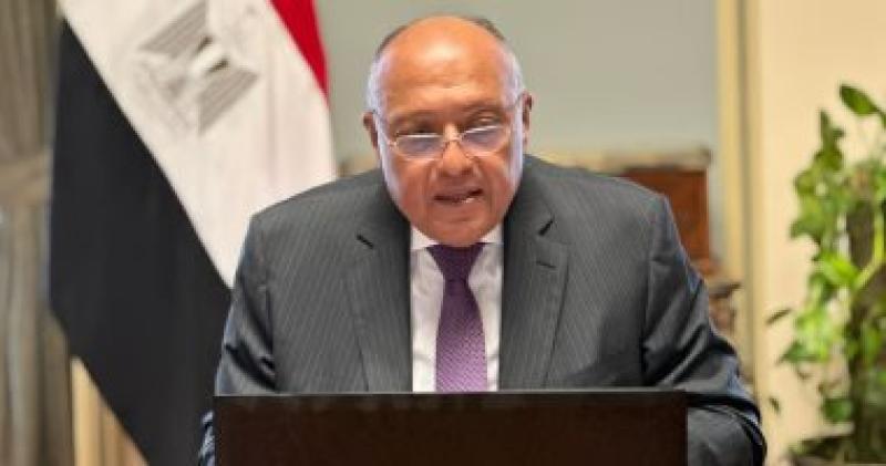 وزير الخارجية 