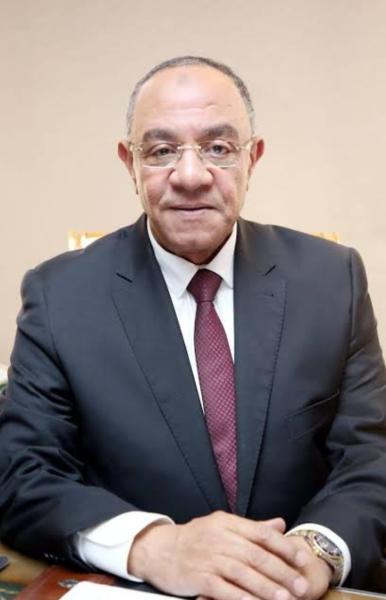النائب عادل ناصر 