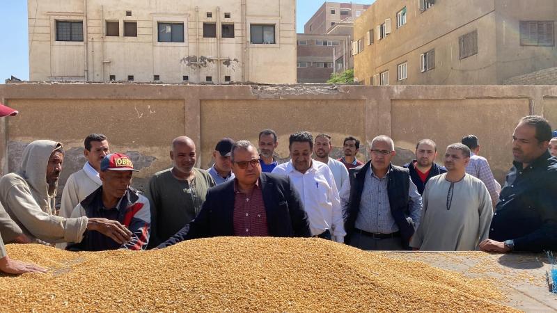 توريد القمح 