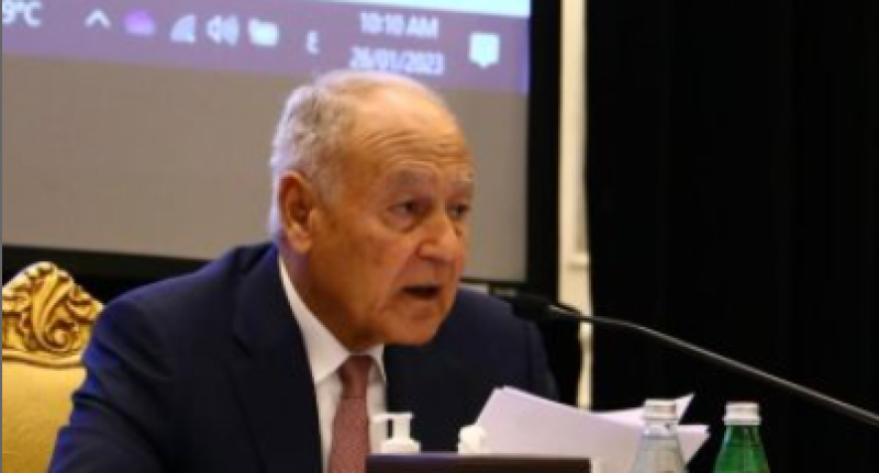 الأمين العام لجامعة الدول العربية أحمد أبو الغيط