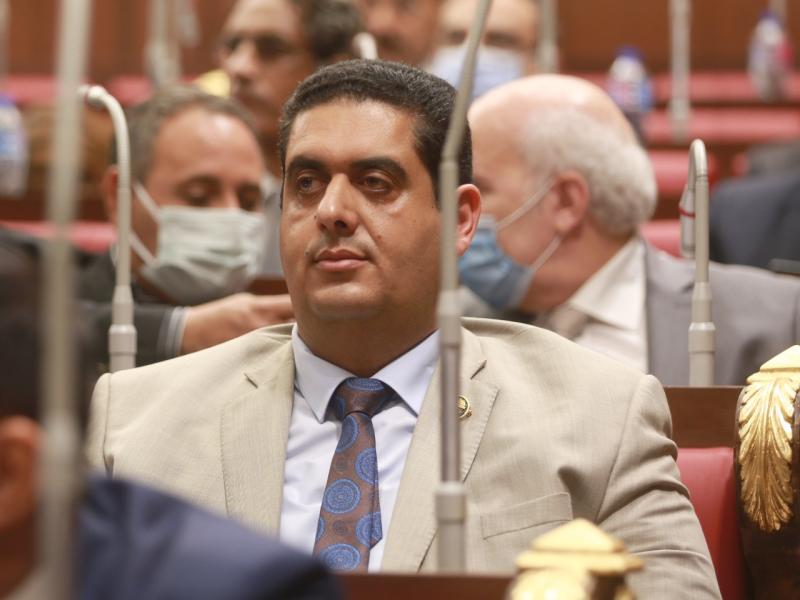 النائب وليد التمامى 