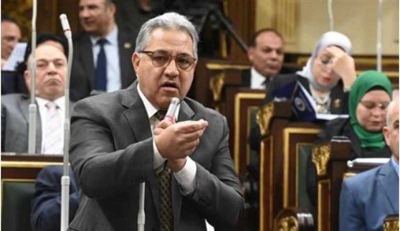 النائب أحمد السجينى
