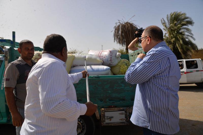 توريد حصاد القمح 