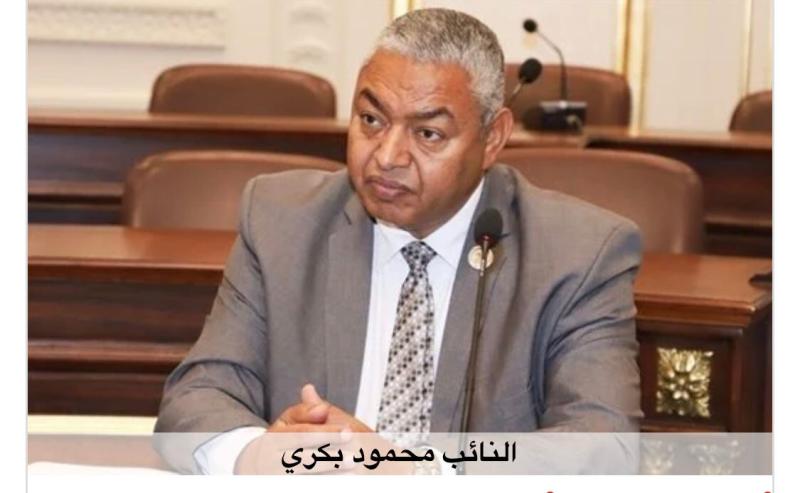 محمود بكرى 