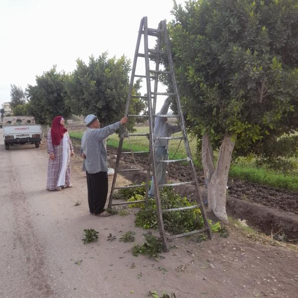 اعمال النظافة 