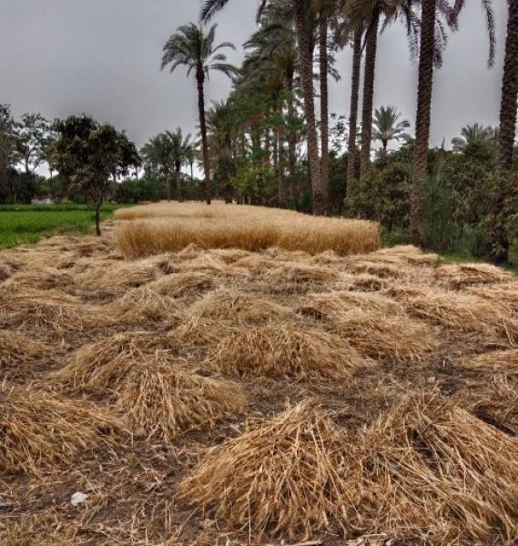 جانب ن اعمال التوريد