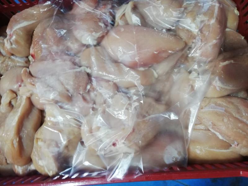 مضبوطات غير صالحة للاستخدام