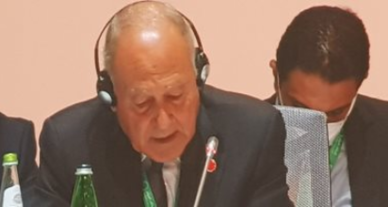 أمين عام الجامعة العربية