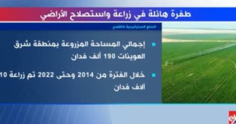 التقرير 
