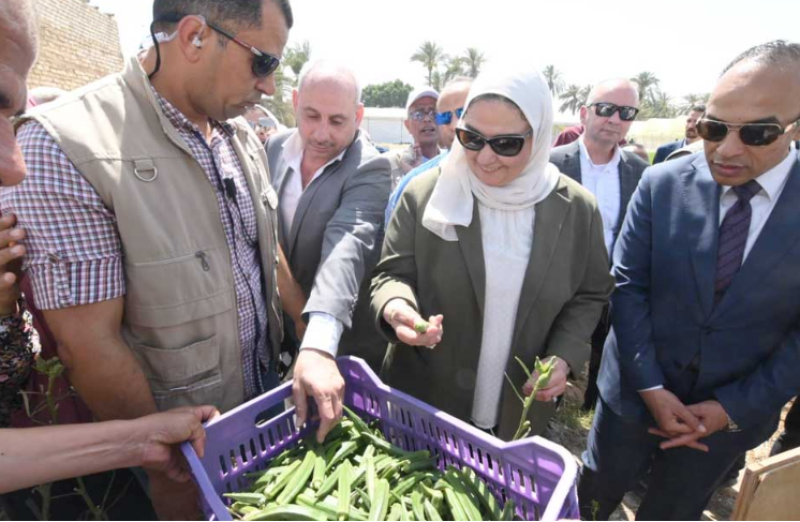مشروع تحسين سبل العيش للمرأة الريفية