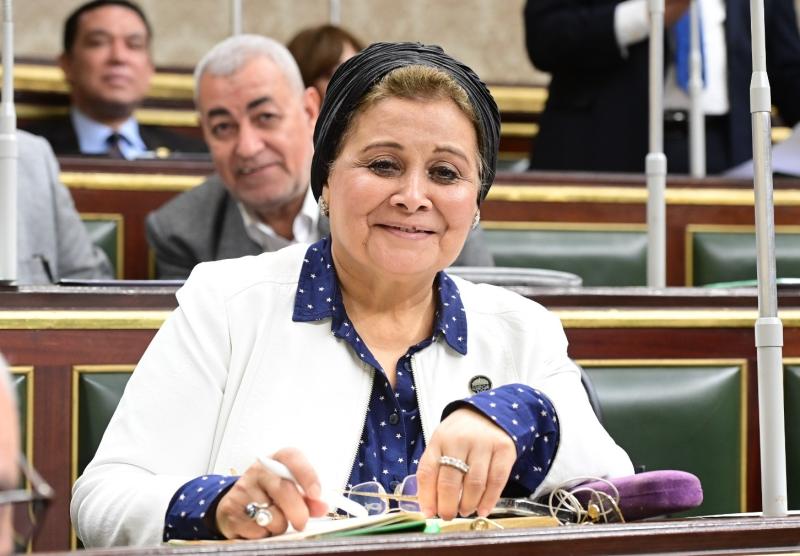 النائبة الدكتورة عبلة الالفى
