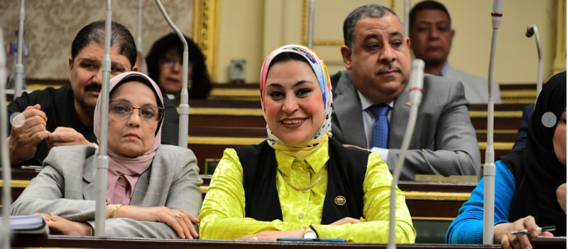 النائبة ولاء التمامى 