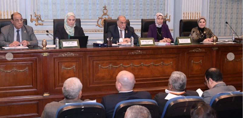 نفين القباج وزيرة التضامن الاجتماعي