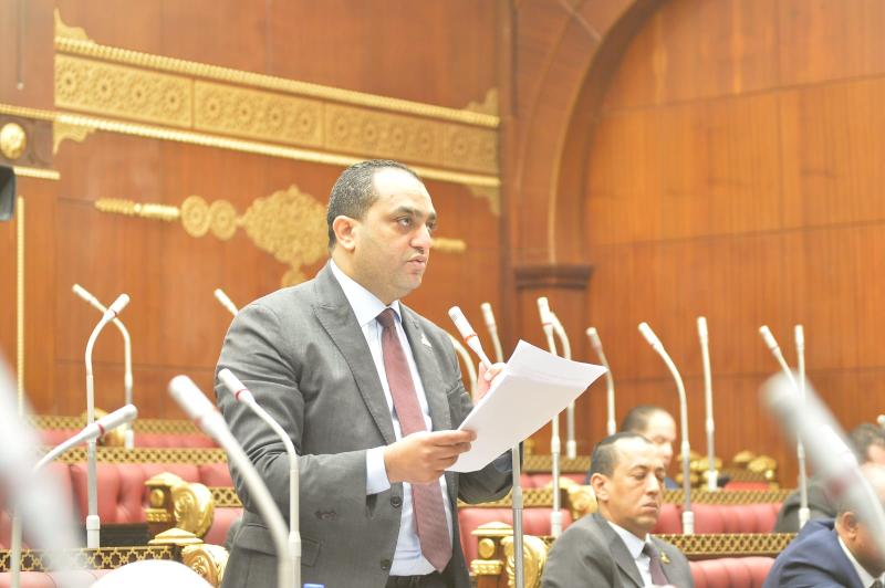 النائب محمد سعيد الدابي 