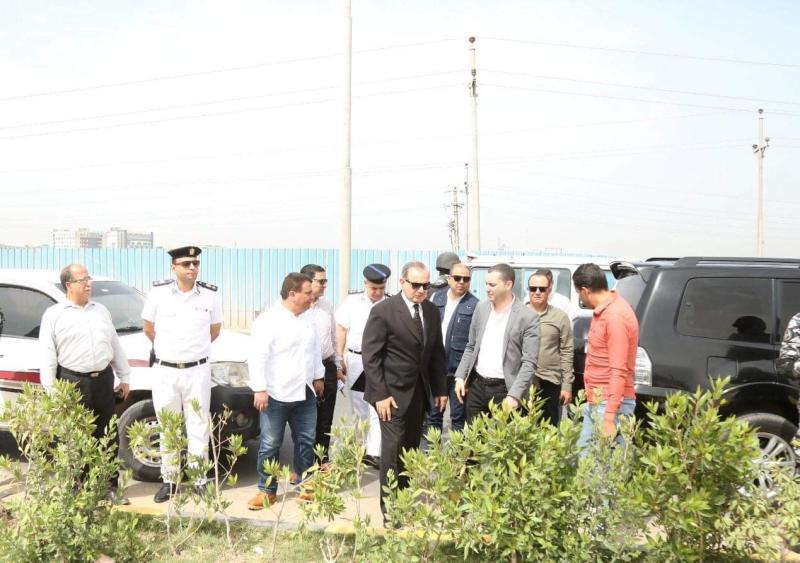 زراعة اشجار 