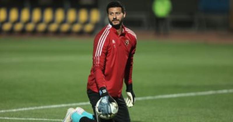 الشناوي 