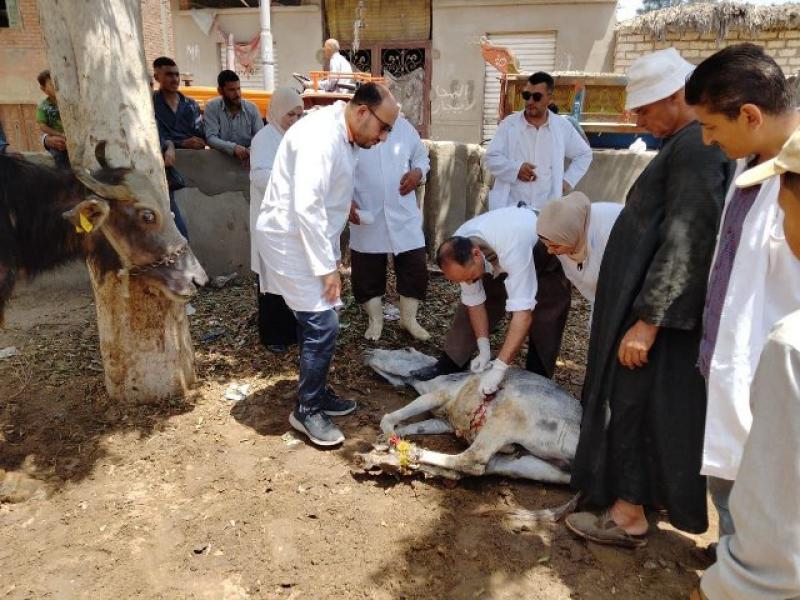 جانب من الضبطيات 