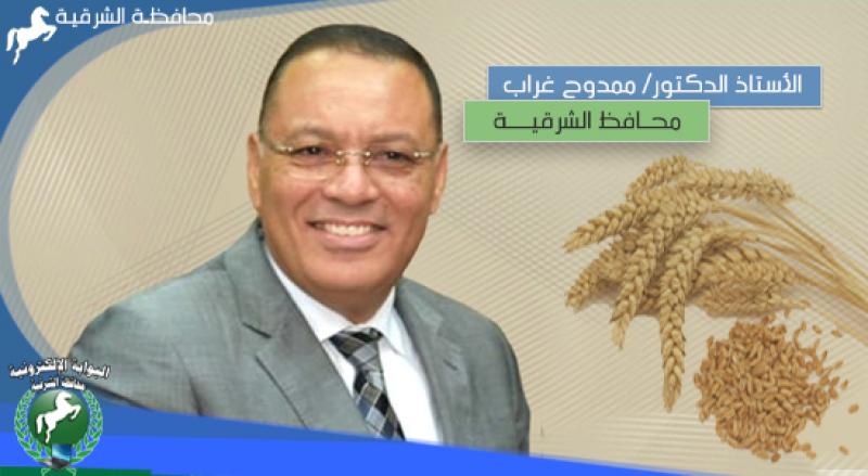 محافظ الشرقية