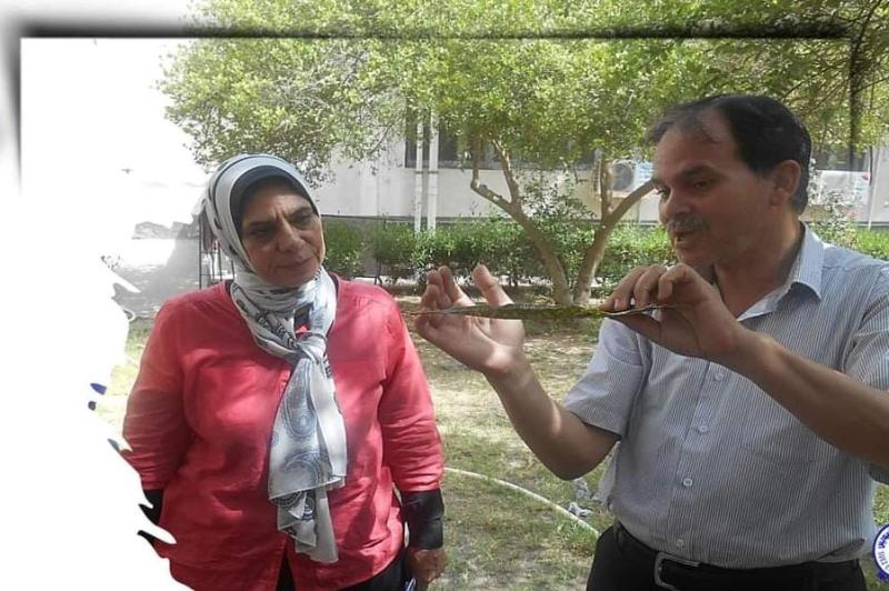 حملات التوعية