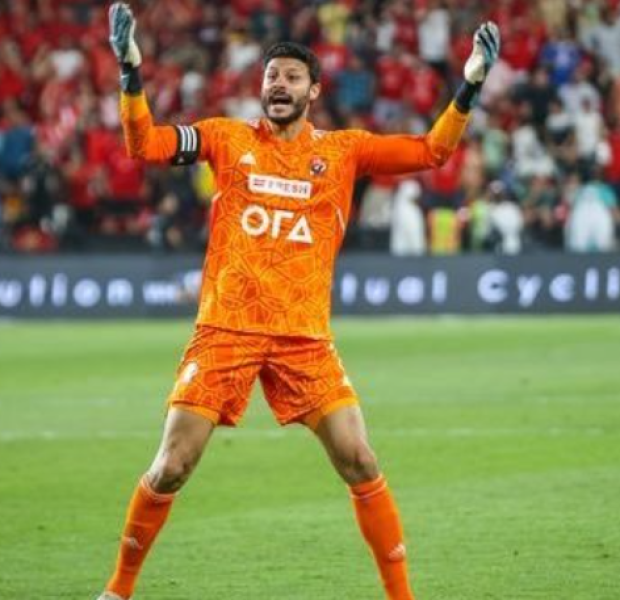 محمد الشناوي