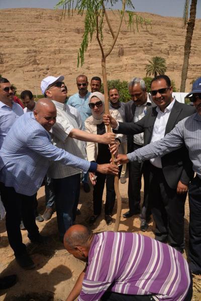 محافظ أسيوط يشارك التشجير