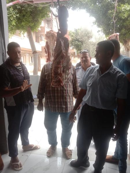 حملات التفتيش 