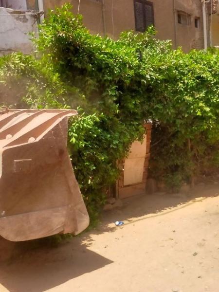 اتناء الازالة 