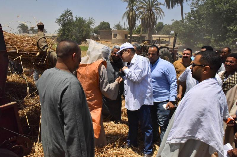 توريد القمح 