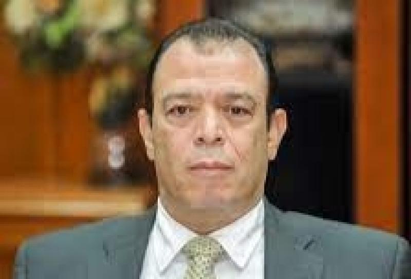 المهندس نصر عبد العزيز 