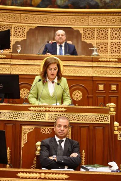 وزيرة التخطيط 