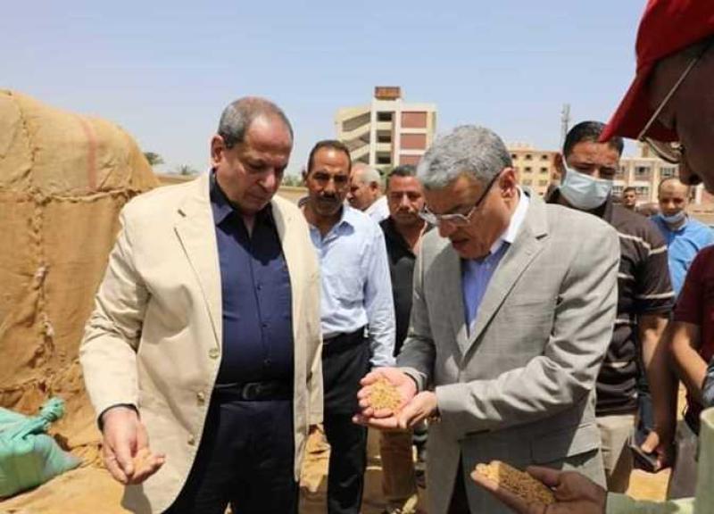 محافظ المنيا 